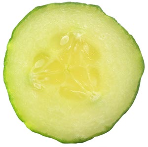 %_tempFileNamegurke%