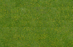 %_tempFileNamehahnenfuss%