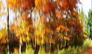 %_tempFileNameherbstfarben%