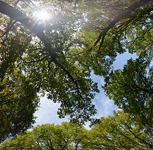 %_tempFileNamehimmelsblick_2%