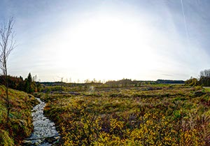 %_tempFileNamehohes_venn_13_fused%