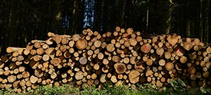 %_tempFileNameholzstapel%201%