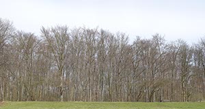 %_tempFileNamekahle%20buchen%