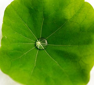 %_tempFileNamekapu_kresse%