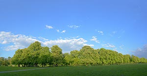 %_tempFileNamekastanienallee%20fused%