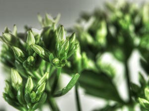 %_tempFileNameknospen%