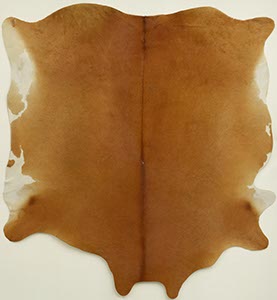 %_tempFileNamekuhfell%