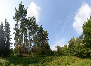 %_tempFileNamelichtung_im_paradies%