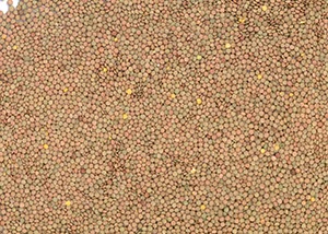 %_tempFileNamelinsen%