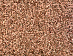 %_tempFileNamelinsen_g%