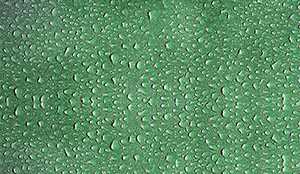 %_tempFileNamemetalltropfen%20gruen%