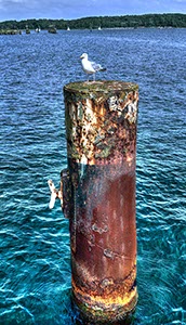 %_tempFileNamemoewe%