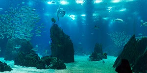 %_tempFileNamemondfisch%