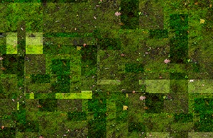 %_tempFileNamemoos_05%