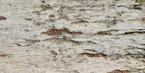 %_tempFileNamenaturstein%