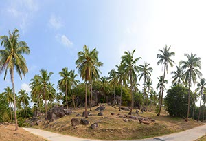 %_tempFileNamepalmen%2055%