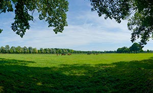 %_tempFileNamepferdekoppel%20003%