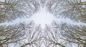 %_tempFileNameplatanen%20aeste%20SP%