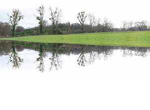 %_tempFileNameplattborn%20spiegelung%