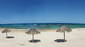 %_tempFileNameplaya_coral%