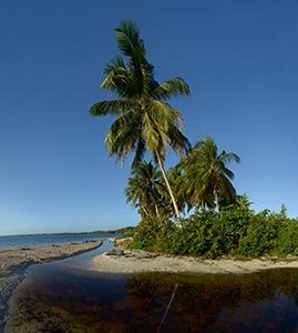 %_tempFileNameplaya_larga_2%