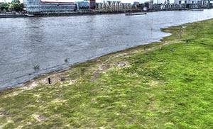 %_tempFileNamepollerwiesen%