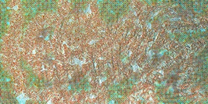 %_tempFileNamerasternebel%