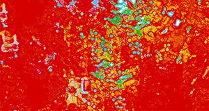 %_tempFileNamerotbunt_310%20x%20167%