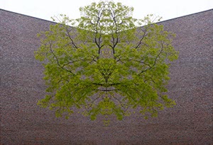 %_tempFileNameroter%20klinkerbaum%20Spiegel%