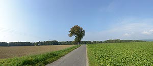 %_tempFileNameruebenacker_mit_strasse%