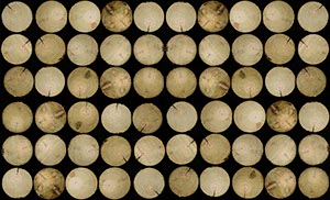 %_tempFileNamerundhoelzer%20GR%