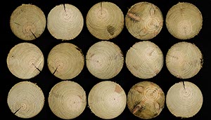 %_tempFileNamerundhoelzer%