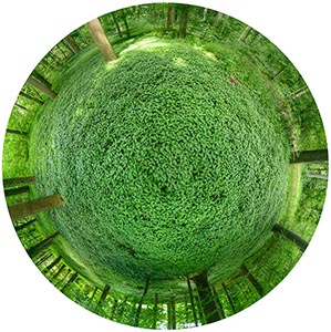 %_tempFileNamerundwald%