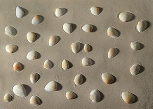 %_tempFileNamesandmuscheln%