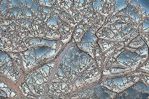 %_tempFileNameschnee%20baum%