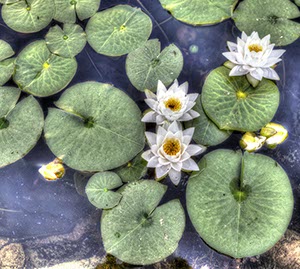 %_tempFileNameseerosen%202%