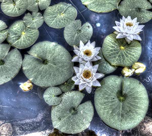 %_tempFileNameseerosen1%