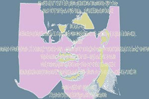 %_tempFileNamesnowden%