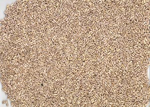 %_tempFileNamesonnenbl%