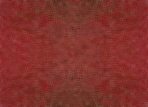 %_tempFileNamestrichstruktur%201%20g%20rot%