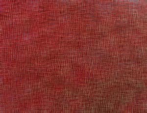 %_tempFileNamestrichstruktur%201%20rot%