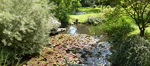 %_tempFileNameteich%202%