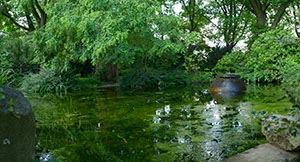 %_tempFileNameteich%20mit%20krug%