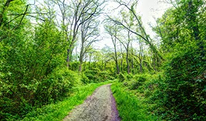 %_tempFileNameunterseewald%