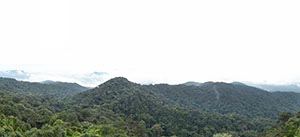 %_tempFileNameurwald_04%