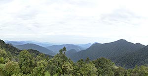 %_tempFileNameurwald_06%