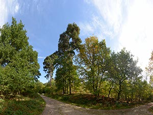 %_tempFileNamewahner_heide_wege%