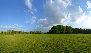 %_tempFileNamewaldwiesehimmel%