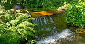 %_tempFileNamewasserfall%20mit%20farn_%202_tonemapped%