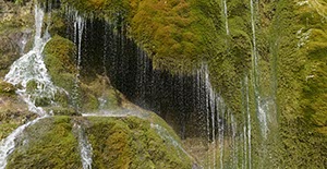 %_tempFileNamewasserfall_nohn_03%